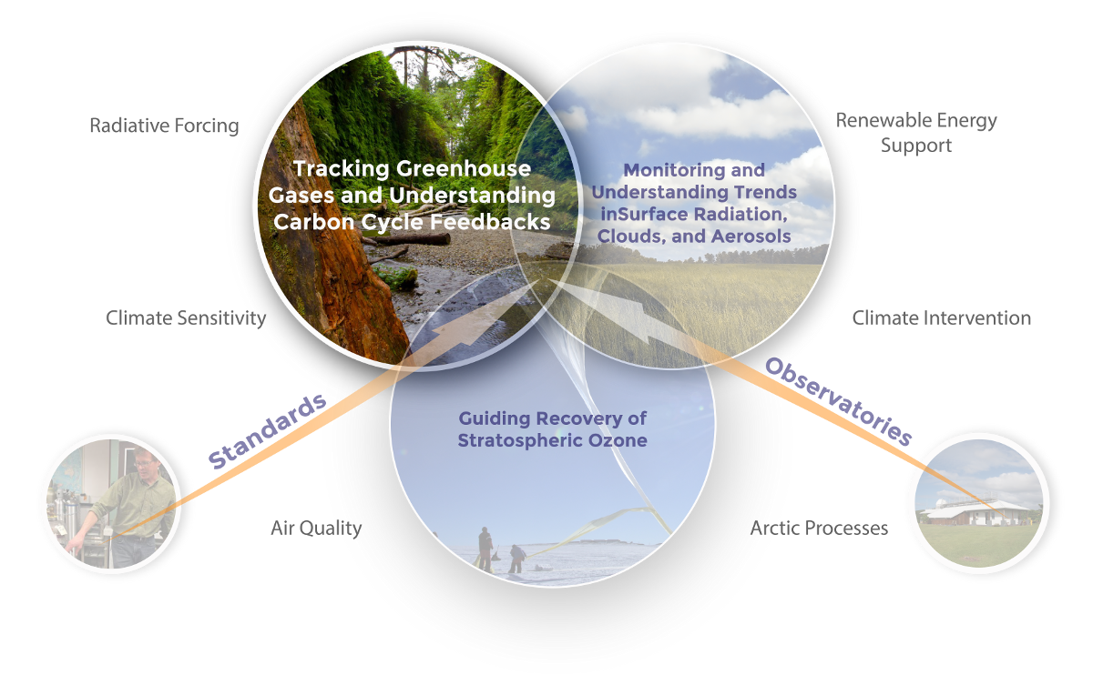 research themes diagram