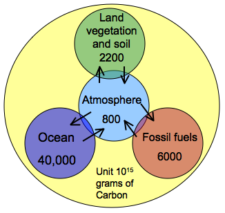 carbon reservoirs