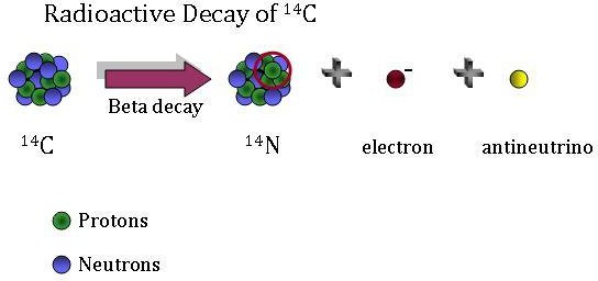 beta decay neutrino