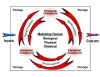 biogeochemical cycles