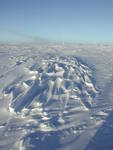 Antarctica_Pics_259.jpg