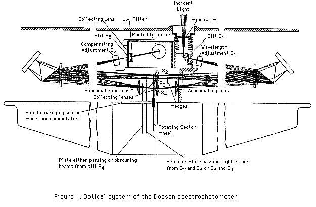 Dobson Internals GIF (24 Kb)